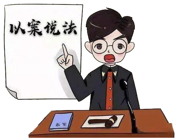 指导性案例
