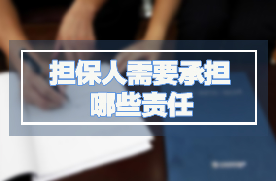 担保人需要承担哪些责任