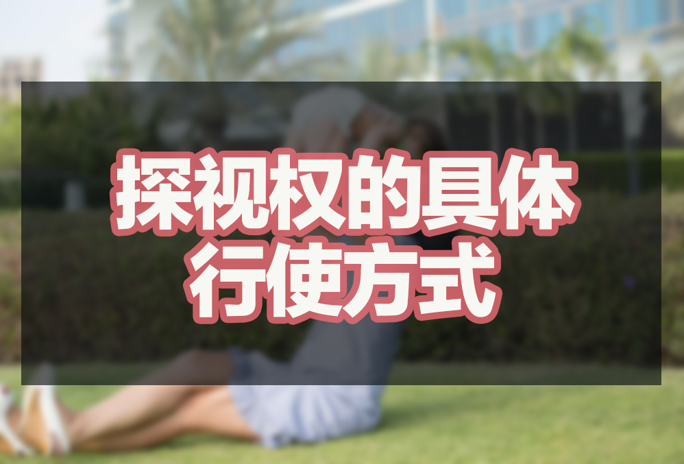 探视权的具体行使方式