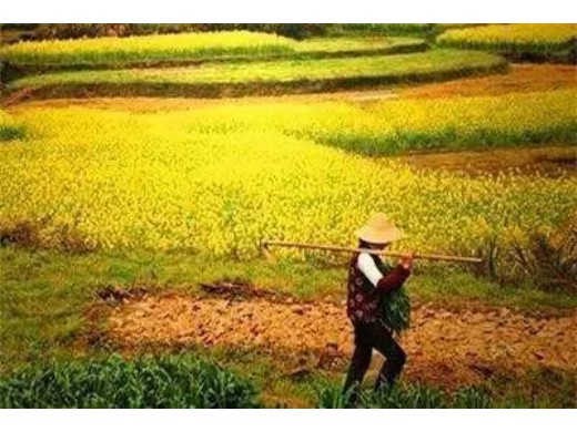 “第三人到期债权”系列问题一:如何在诉讼中保全