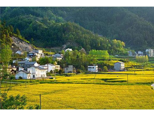 廖宗荣诉重庆市公安局交通管理局第二支队道路交通管理行政处罚决定一审案
