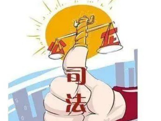 律侨合作聚侨心 同心与共向未来 | 众成清泰律师爱侨护侨在行动(中篇)